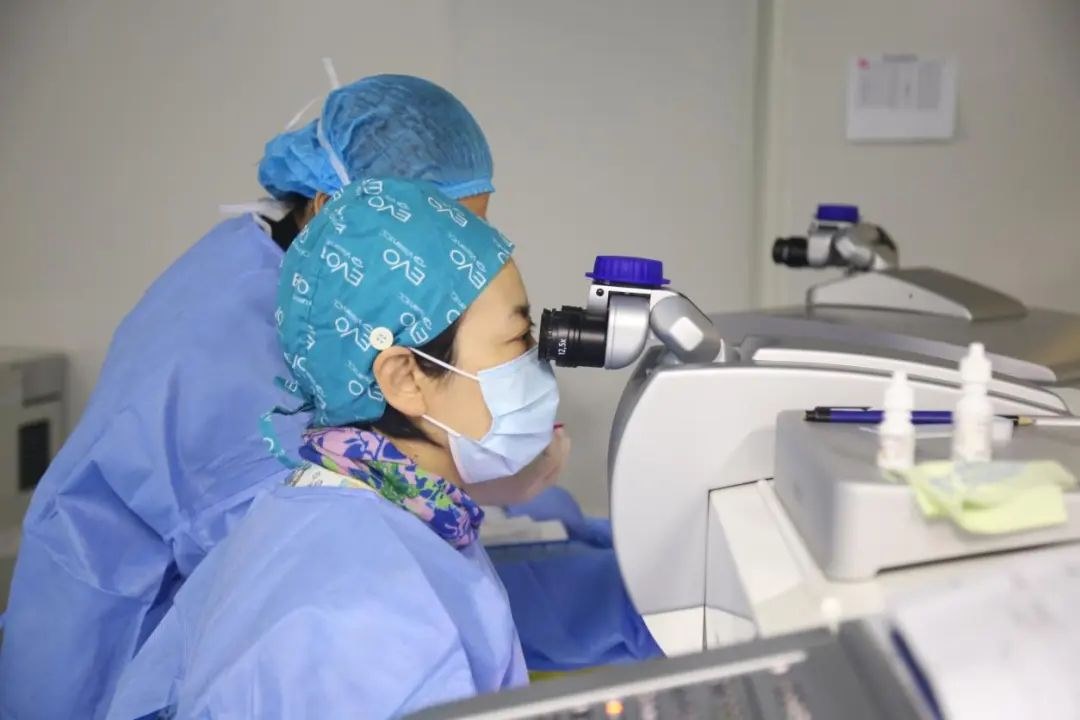 022c761947bec2b 022c761947bec2b