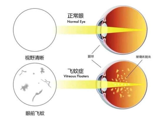 微信圖片_2025-08-29_140930_726 微信圖片_2025-08-29_140930_726
